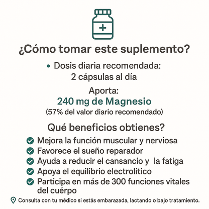 Suplemento de Magnesio Glicinato 1330 mg – 120 Cápsulas | Alta Absorción